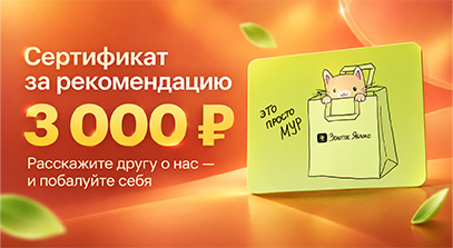Акция «Приведи друга»: получите сертификат на 3 000 ₽