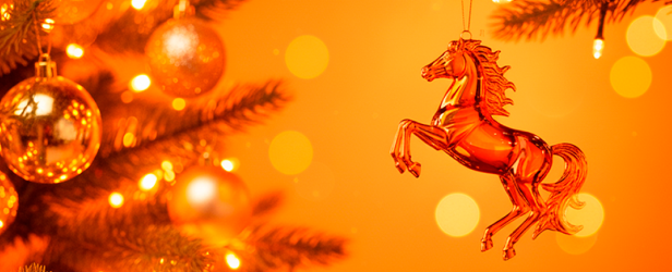 C наступающим Новым 2026 годом и Рождеством!