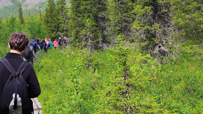 type-3-2-3