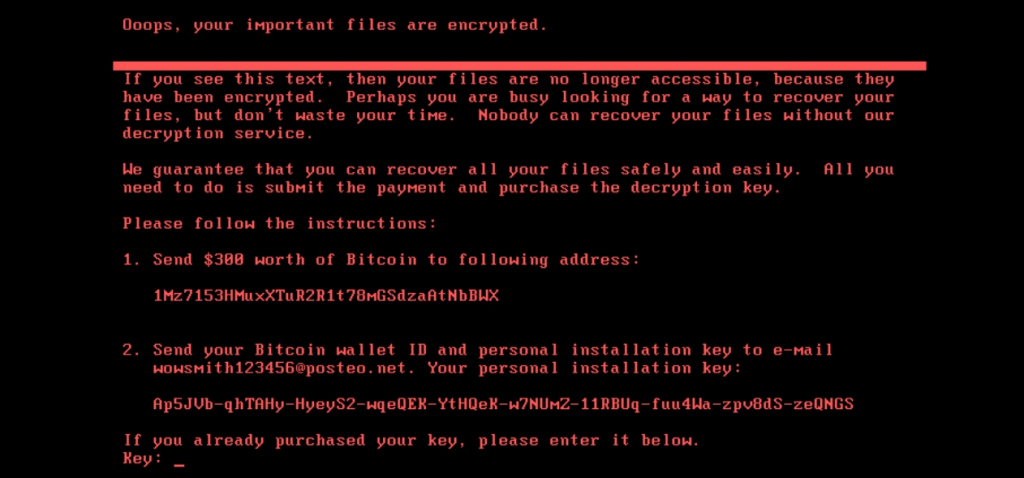 Бэкапы (1).jpg